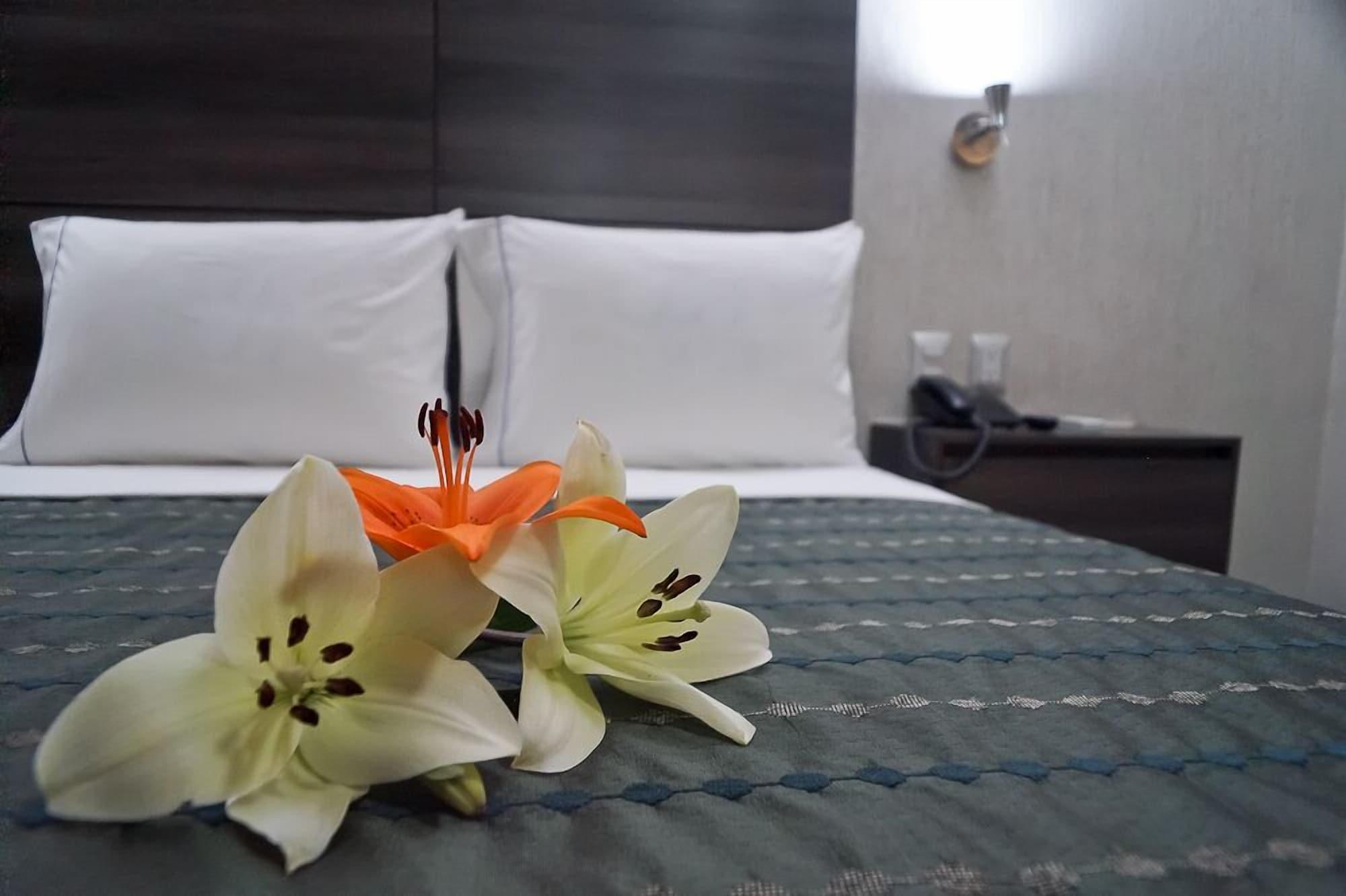 Hotel Expo Abastos Гвадалахара Екстер'єр фото